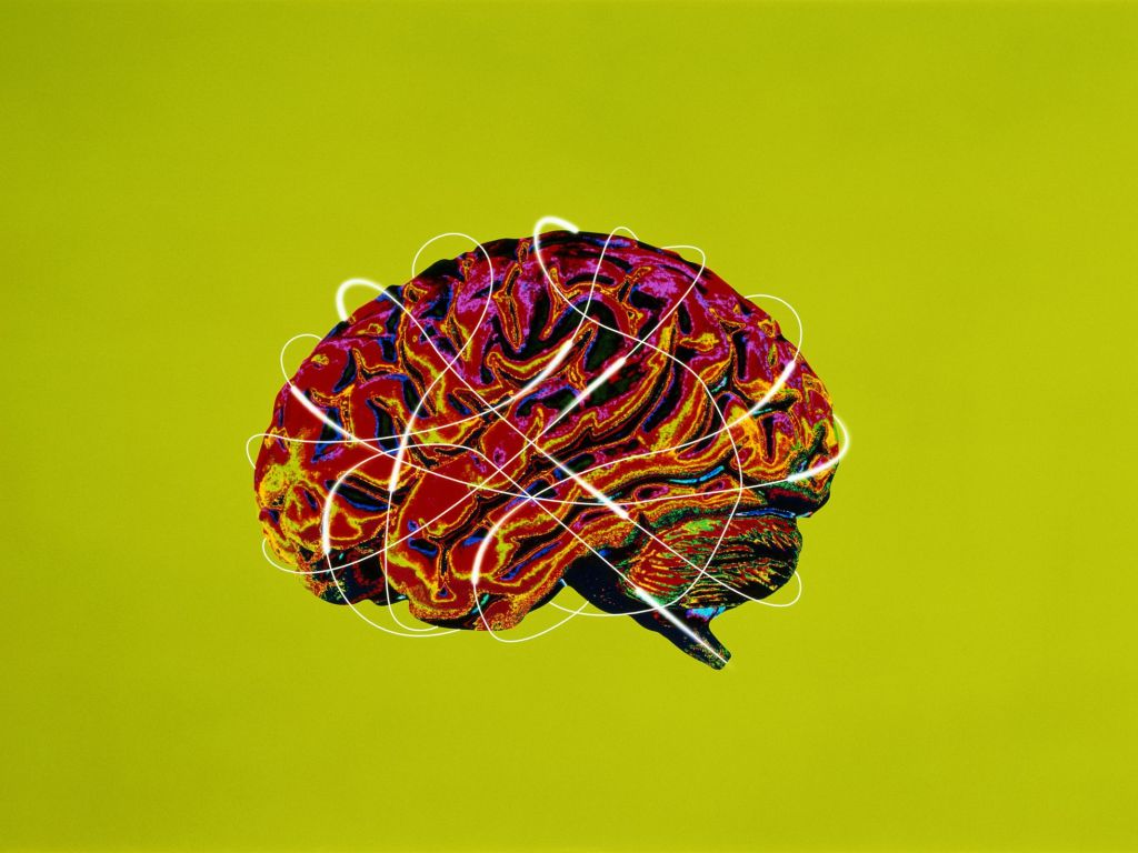 Mind Diets, Screen Time, and&nbsp;Productivity